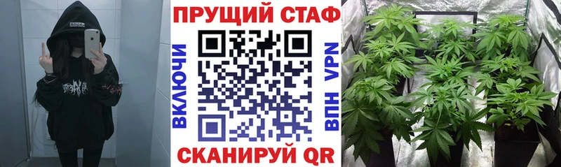 Где можно купить наркотики Приморск mega как войти  АМФ  Гашиш  Галлюциногенные грибы  КОКАИН  Каннабис 