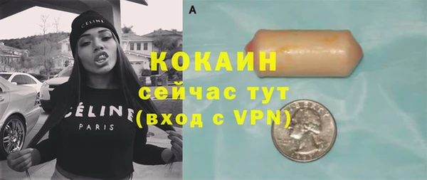 дживик Козельск
