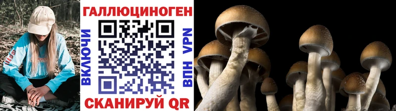 наркошоп  Приморск  Галлюциногенные грибы прущие грибы 